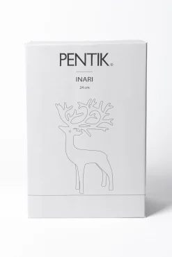 Inari Messinkinen Poro