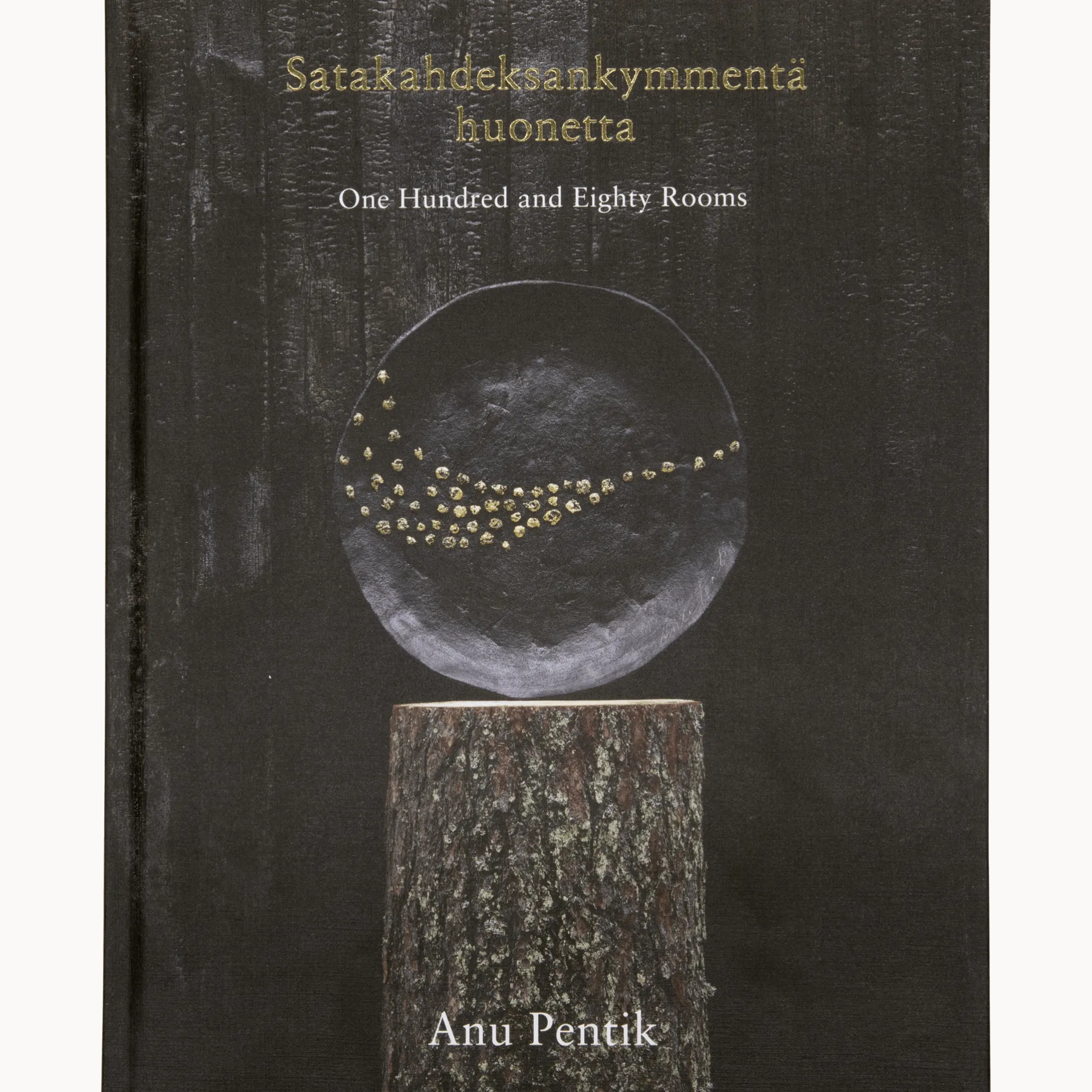 Satakahdeksankymmentä huonetta - Anu Pentik