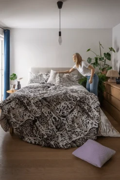 Villikissa Päiväpeitto