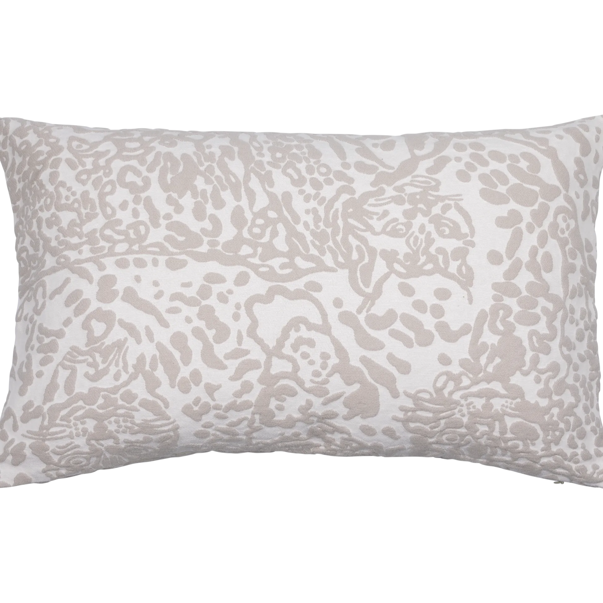 Villikissa Tyynynpäällinen